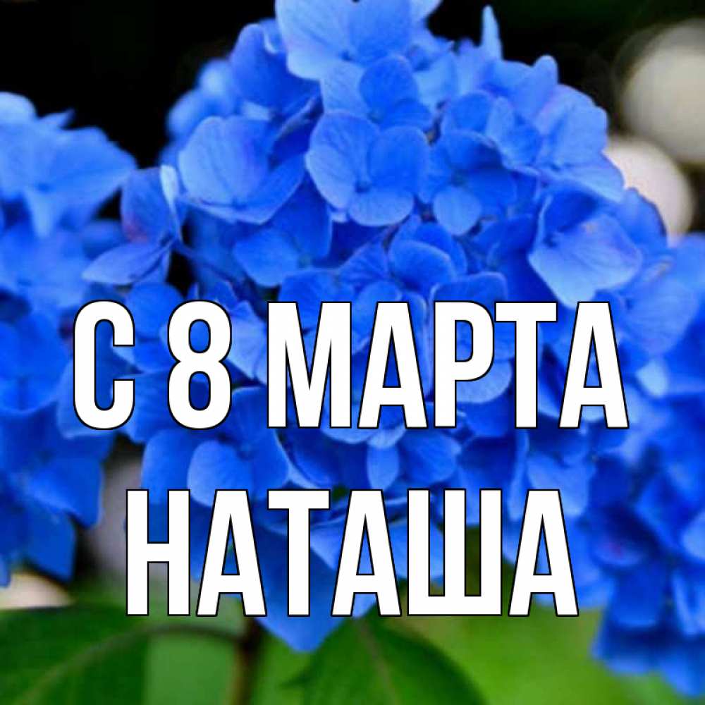Открытка на каждый день с именем, наташа С 8 марта синие цветы Прикольная открытка с пожеланием онлайн скачать бесплатно 