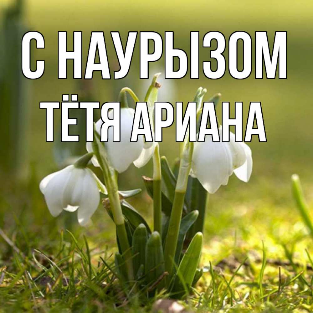 Открытка на каждый день с именем, Тётя-Ариана С наурызом ранние цветы 2 Прикольная открытка с пожеланием онлайн скачать бесплатно 