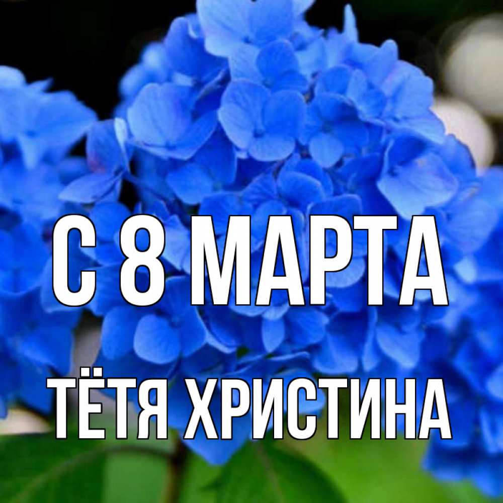 Открытка на каждый день с именем, Тётя-Христина С 8 МАРТА синие цветы Прикольная открытка с пожеланием онлайн скачать бесплатно 