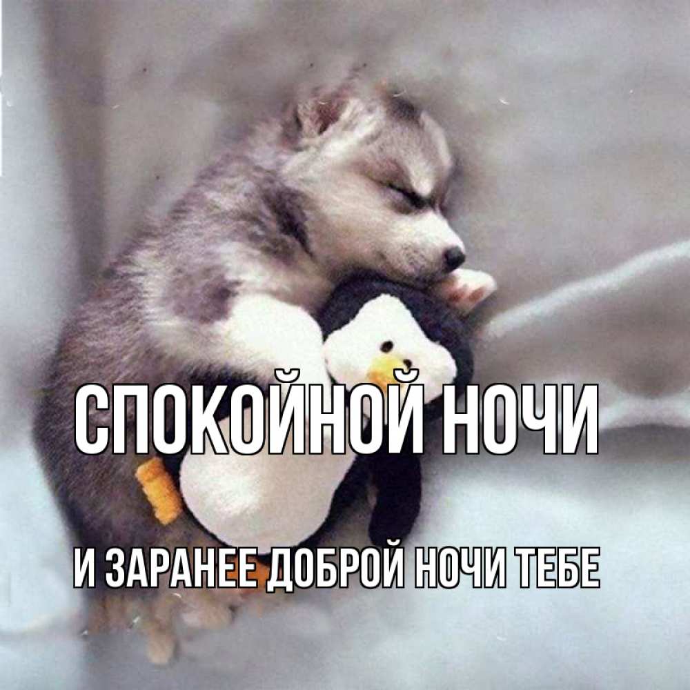 Картинка Спокойной ночи, и заранее доброй ночи тебе