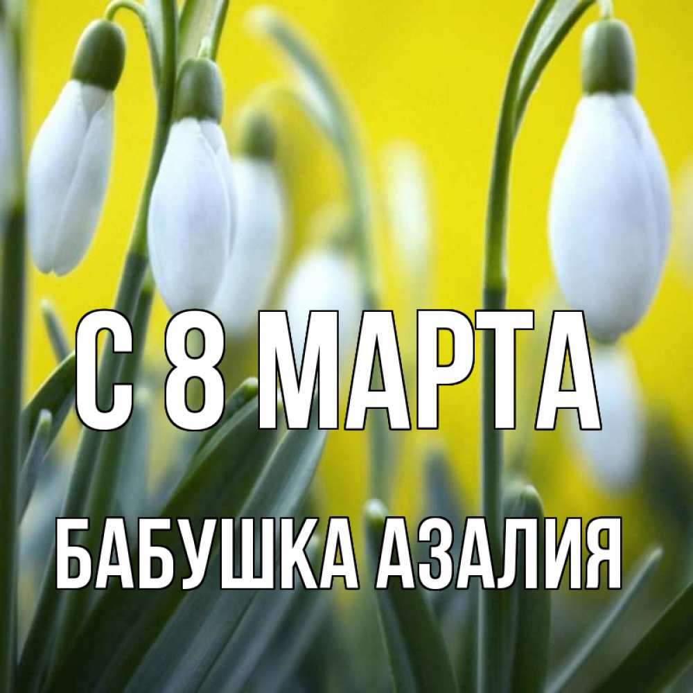 Открытка на каждый день с именем, Бабушка-Азалия С 8 марта весенние цветы Прикольная открытка с пожеланием онлайн скачать бесплатно 