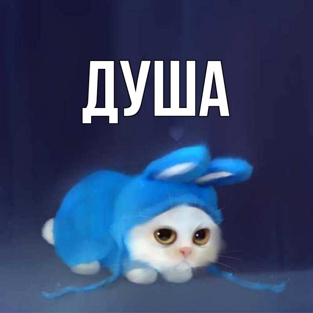 Открытка на каждый день с именем, Душа Главная кот в голубом костюме кролика с ушками Прикольная открытка с пожеланием онлайн скачать бесплатно 