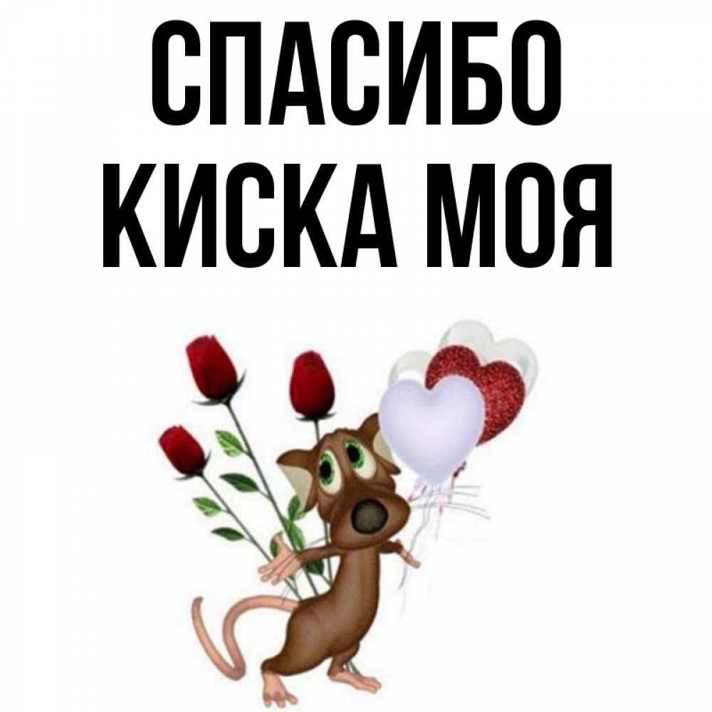 Моя киска