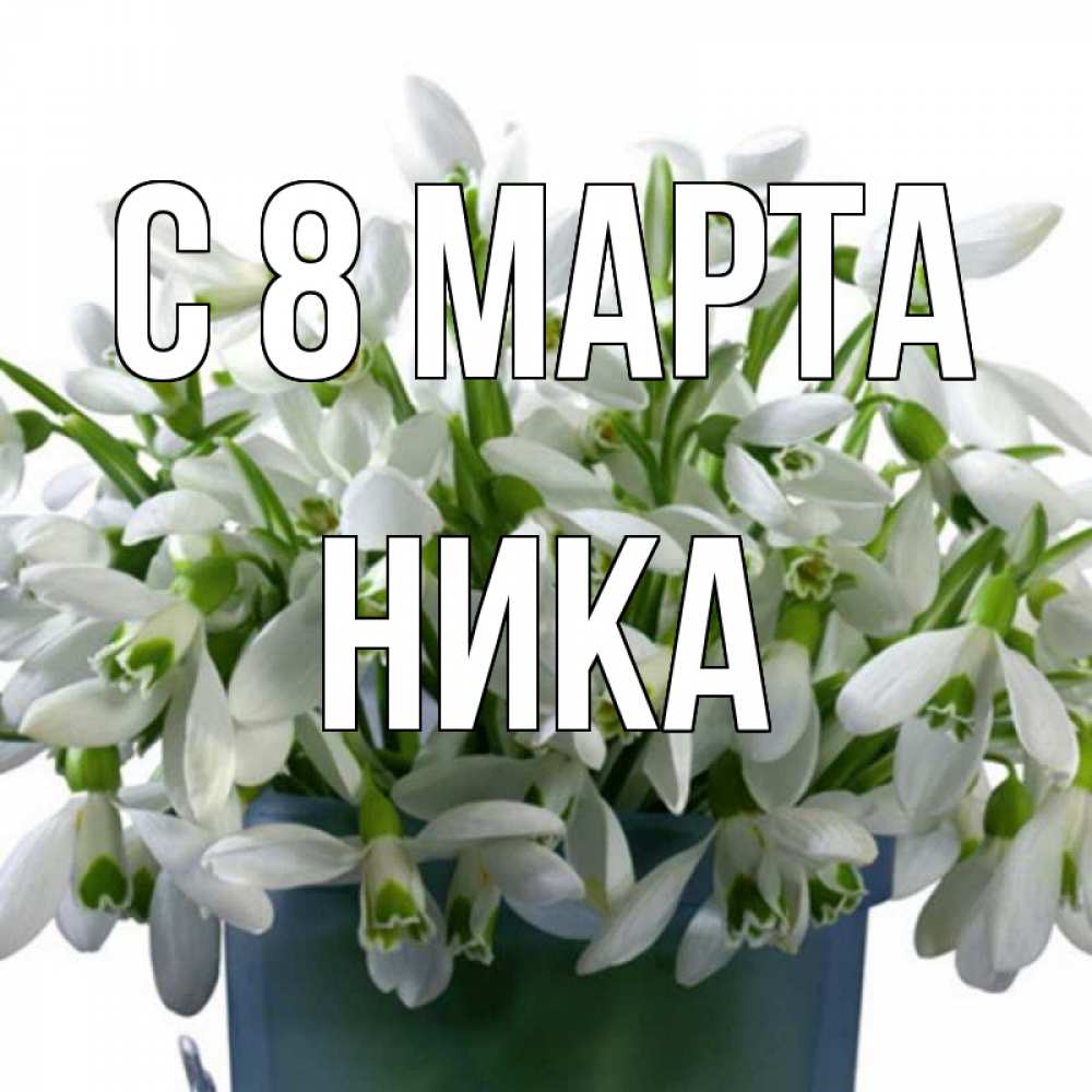 Открытка на каждый день с именем, Ника С 8 МАРТА цветы к международному женскому дню Прикольная открытка с пожеланием онлайн скачать бесплатно 