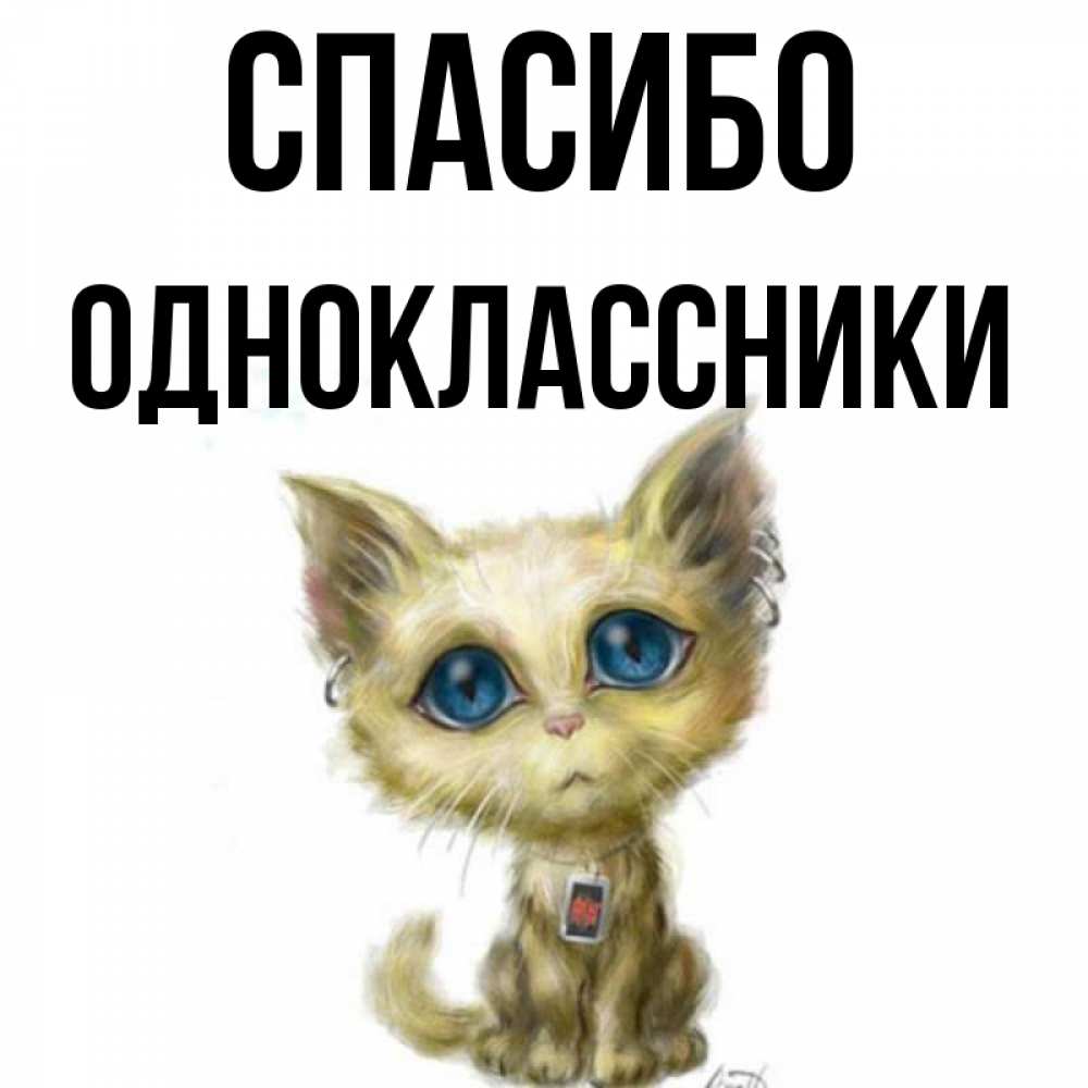 Открытка на каждый день с именем, Одноклассники Спасибо рисованный кот благодарит вас Прикольная открытка с пожеланием онлайн скачать бесплатно 