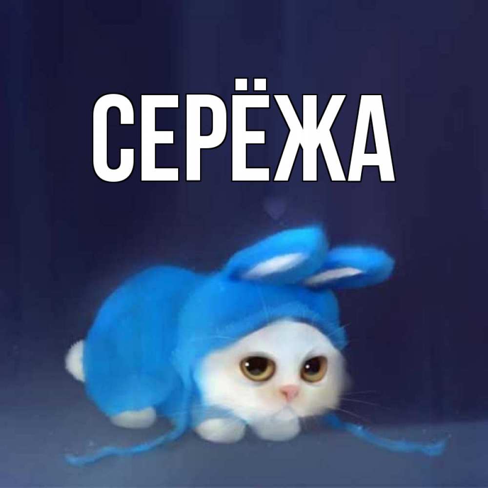 Открытка на каждый день с именем, Серёжа Главная кот в голубом костюме кролика с ушками Прикольная открытка с пожеланием онлайн скачать бесплатно 