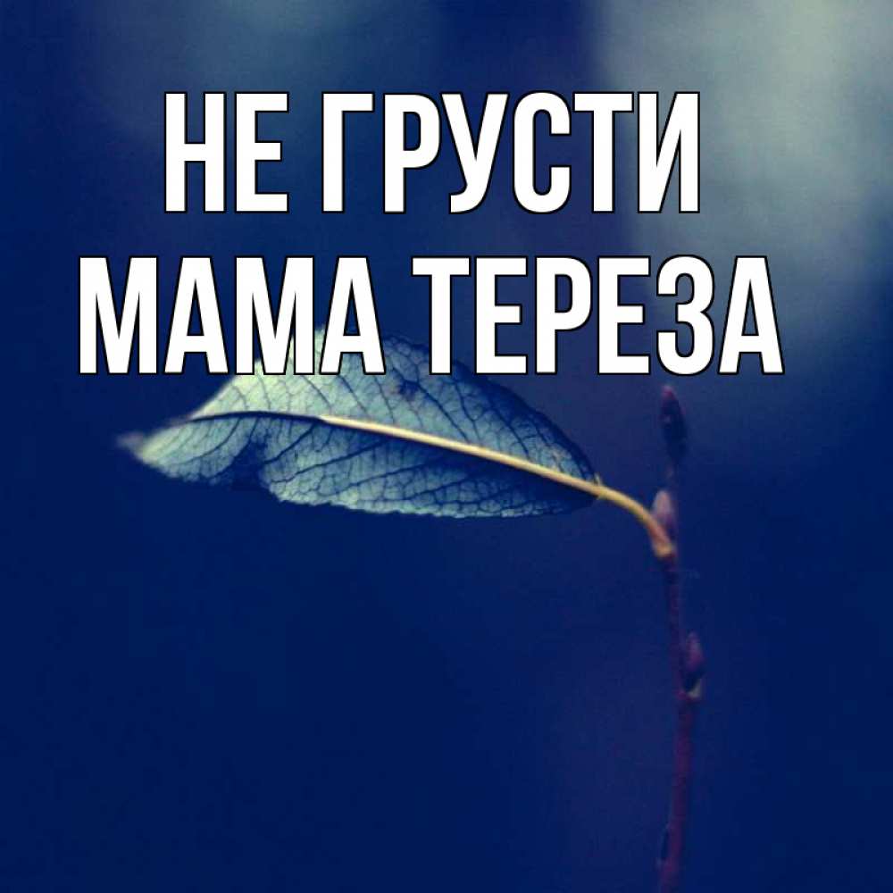 Открытка на каждый день с именем, Мама-Тереза Не грусти растение Прикольная открытка с пожеланием онлайн скачать бесплатно 