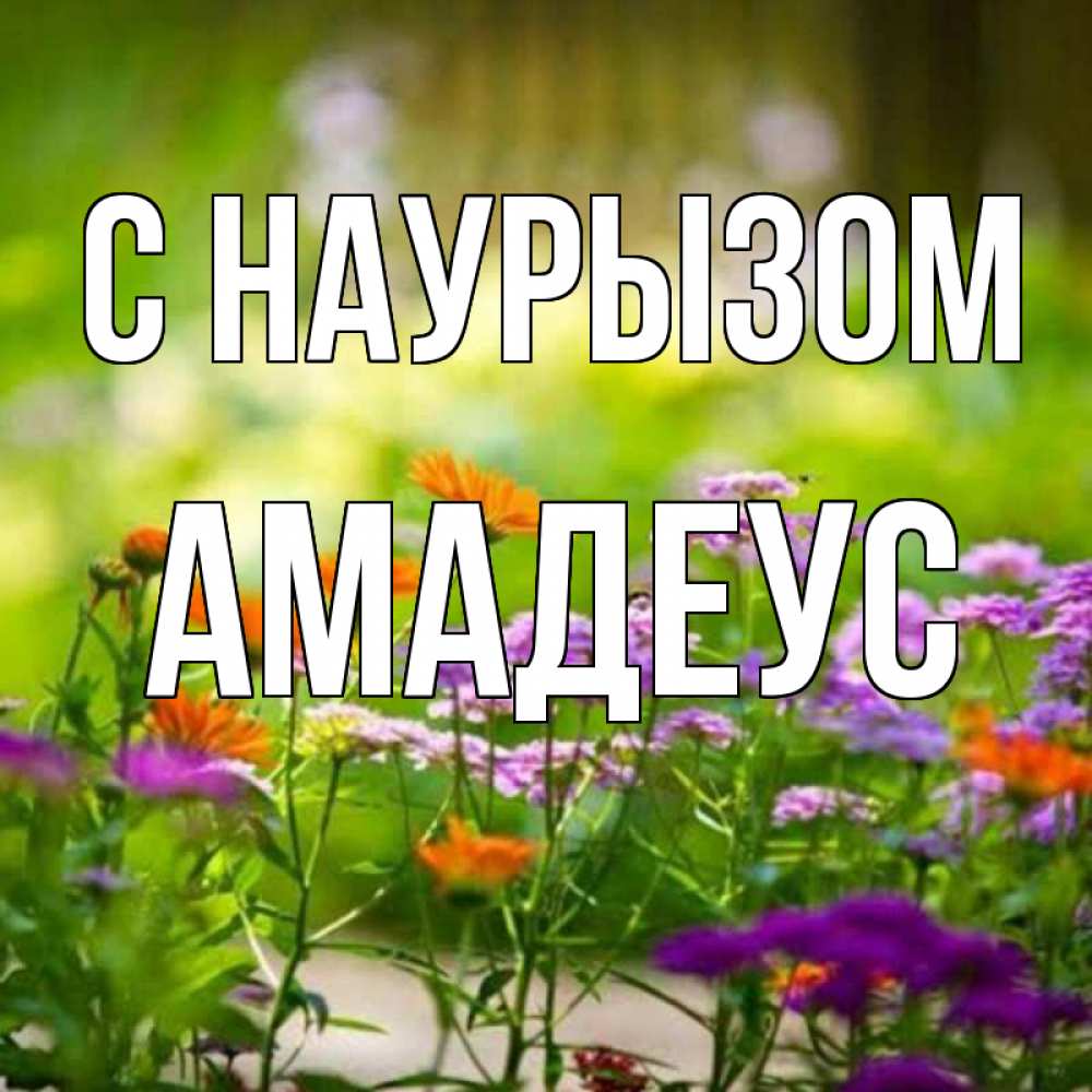 Открытка на каждый день с именем, Амадеус С наурызом цветы Прикольная открытка с пожеланием онлайн скачать бесплатно 