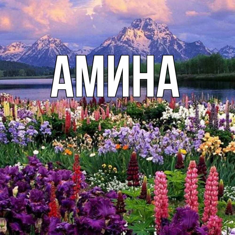 Открытка на каждый день с именем, Амина Главная международный женский день Прикольная открытка с пожеланием онлайн скачать бесплатно 