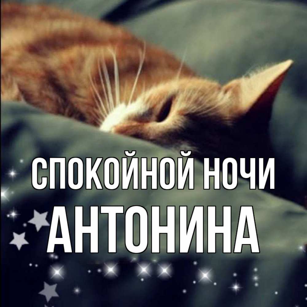 Открытка на каждый день с именем, Антонина Спокойной ночи кроватка Прикольная открытка с пожеланием онлайн скачать бесплатно 