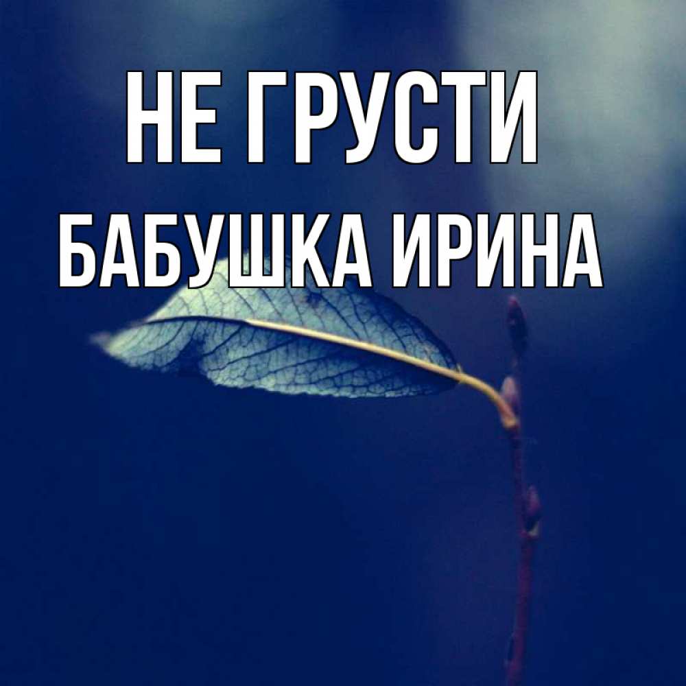 Открытка на каждый день с именем, Бабушка-Ирина Не грусти растение Прикольная открытка с пожеланием онлайн скачать бесплатно 