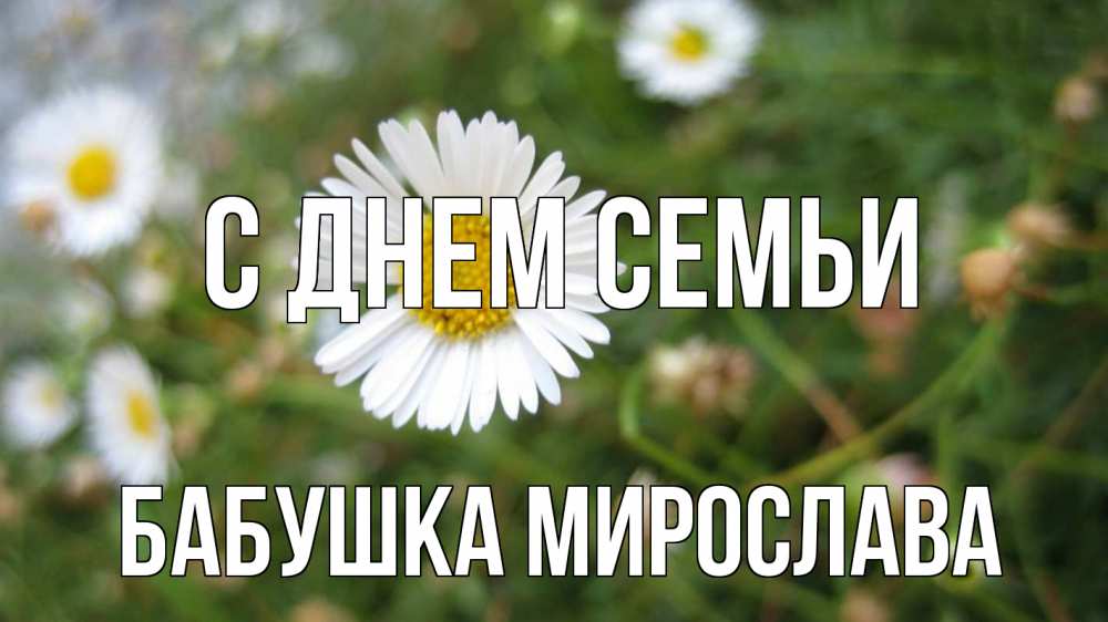 Открытка на каждый день с именем, Бабушка-Мирослава С днем семьи с днем семьи Прикольная открытка с пожеланием онлайн скачать бесплатно 