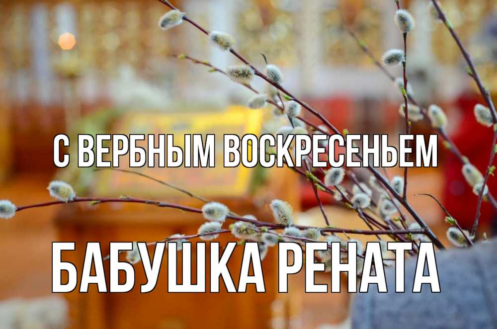 Открытка на каждый день с именем, Бабушка-Рената С вербным воскресеньем верба Прикольная открытка с пожеланием онлайн скачать бесплатно 