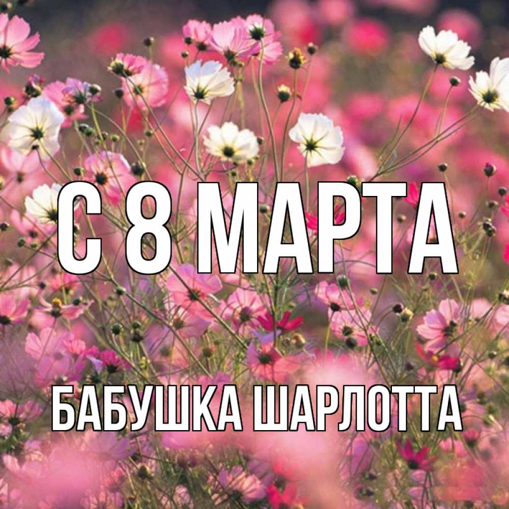 Открытка на каждый день с именем, Бабушка-Шарлотта С 8 МАРТА красиво 1 Прикольная открытка с пожеланием онлайн скачать бесплатно 