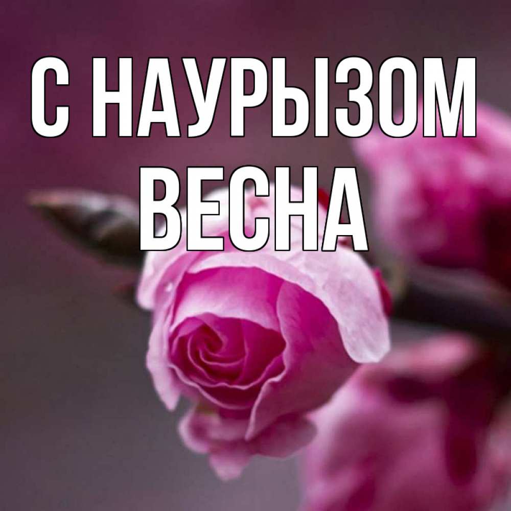 Открытка на каждый день с именем, Весна С наурызом весна Прикольная открытка с пожеланием онлайн скачать бесплатно 