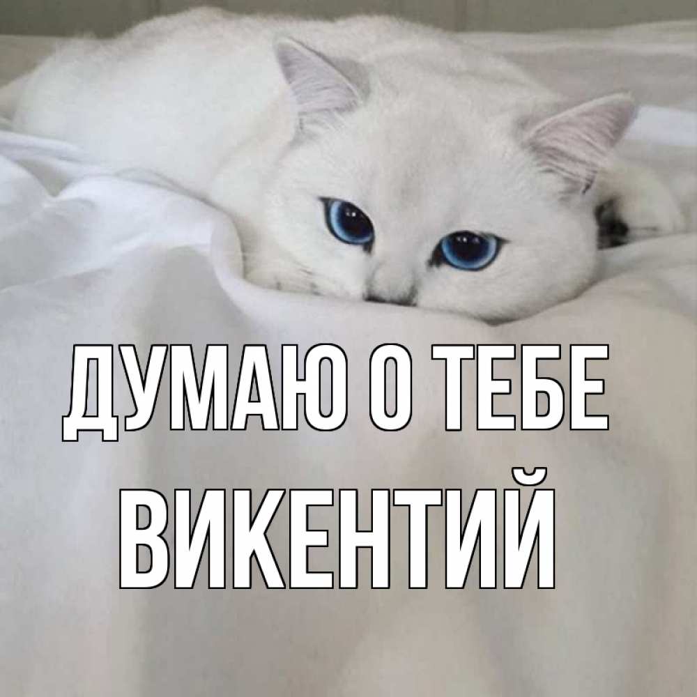 Открытка на каждый день с именем, Викентий Думаю о тебе я очень по тебе скучаю и тоскую Прикольная открытка с пожеланием онлайн скачать бесплатно 