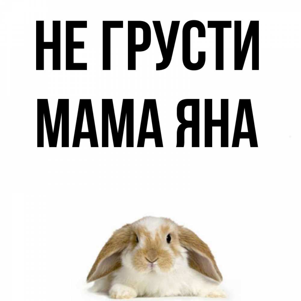 Открытка на каждый день с именем, Мама-Яна Не грусти коричнево белый заяц с большими ушками Прикольная открытка с пожеланием онлайн скачать бесплатно 