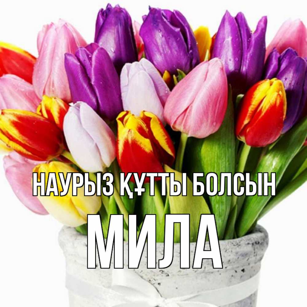 Открытка на каждый день с именем, Мила Наурыз құтты болсын букет Прикольная открытка с пожеланием онлайн скачать бесплатно 