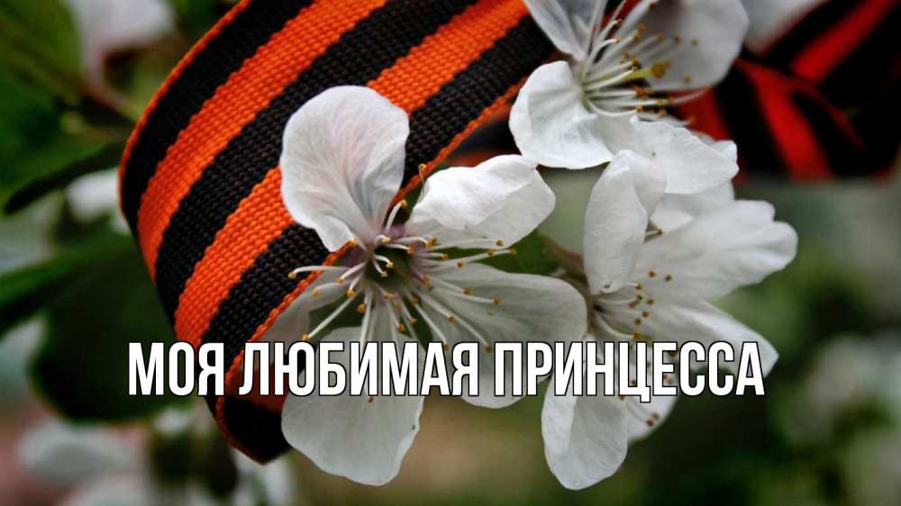 Открытка на каждый день с именем, Моя-Любимая-Принцесса Главная 23 февраля Прикольная открытка с пожеланием онлайн скачать бесплатно 