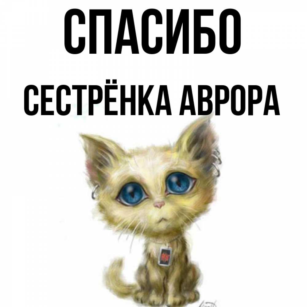 Открытка на каждый день с именем, Сестрёнка-Аврора Спасибо рисованный кот благодарит вас Прикольная открытка с пожеланием онлайн скачать бесплатно 