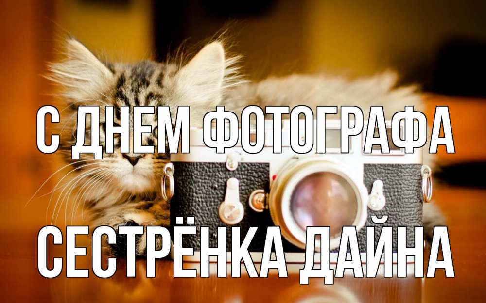 Открытка на каждый день с именем, Сестрёнка-Дайна С днем фотографа с днем фотографа Прикольная открытка с пожеланием онлайн скачать бесплатно 
