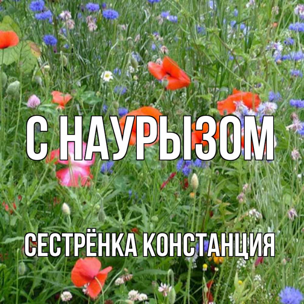 Открытка на каждый день с именем, Сестрёнка-Констанция С наурызом праздник весны наурыз супер открытка Прикольная открытка с пожеланием онлайн скачать бесплатно 