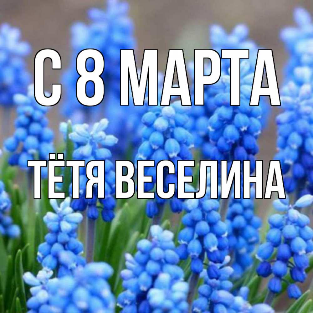 Открытка на каждый день с именем, Тётя-Веселина С 8 МАРТА Поздравительная открытка для женщин с цветами на праздничную дату Прикольная открытка с пожеланием онлайн скачать бесплатно 