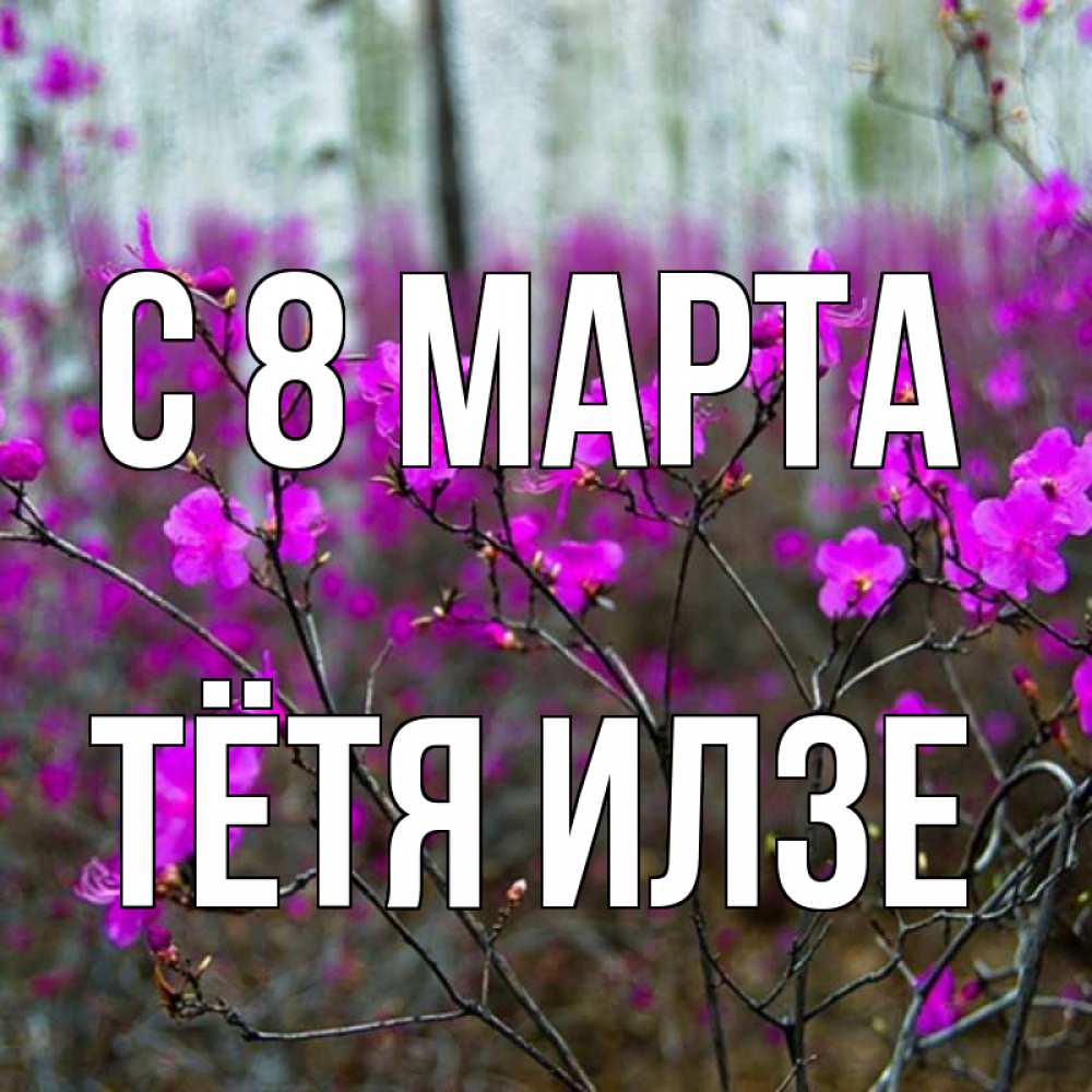 Открытка на каждый день с именем, Тётя-Илзе С 8 марта дикие цветы Прикольная открытка с пожеланием онлайн скачать бесплатно 