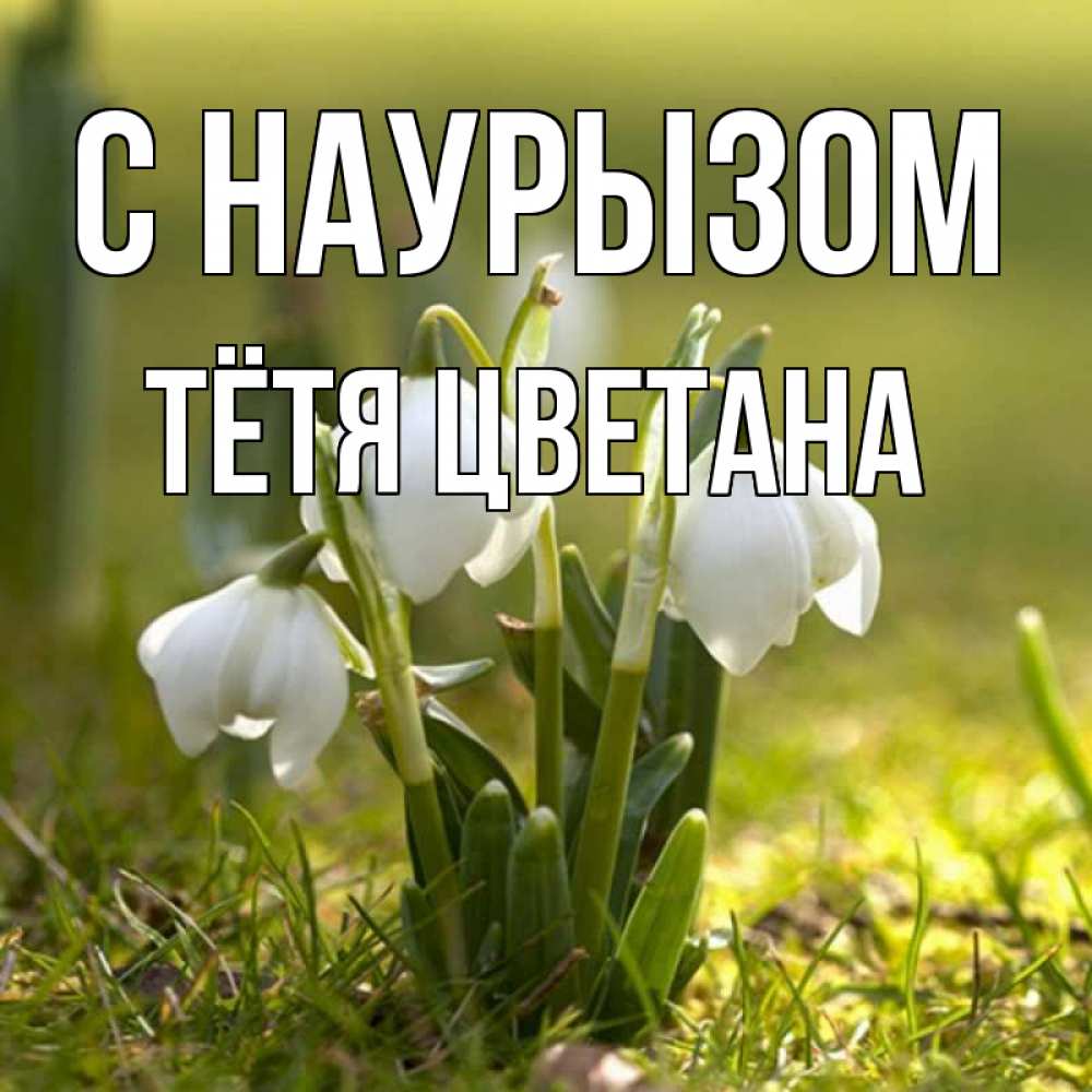 Открытка на каждый день с именем, Тётя-Цветана С наурызом ранние цветы 2 Прикольная открытка с пожеланием онлайн скачать бесплатно 