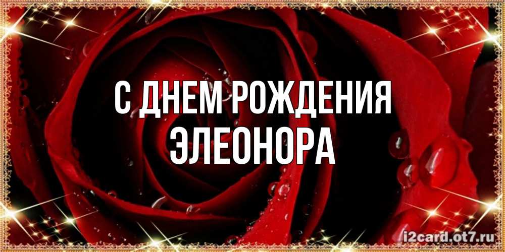 Открытка на каждый день с именем, Элеонора С днем рождения цветок в росе на день рождения Прикольная открытка с пожеланием онлайн скачать бесплатно 
