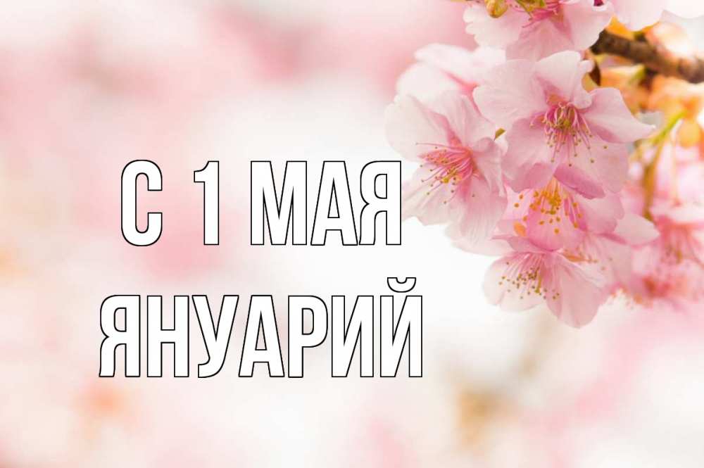Открытка на каждый день с именем, Януарий С 1 мая С 1 мая Прикольная открытка с пожеланием онлайн скачать бесплатно 