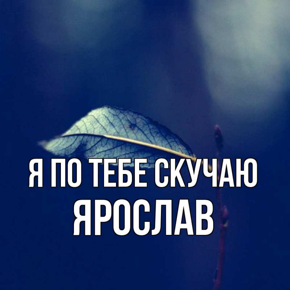 Открытка на каждый день с именем, Ярослав Я по тебе скучаю одна ветка 1 Прикольная открытка с пожеланием онлайн скачать бесплатно 