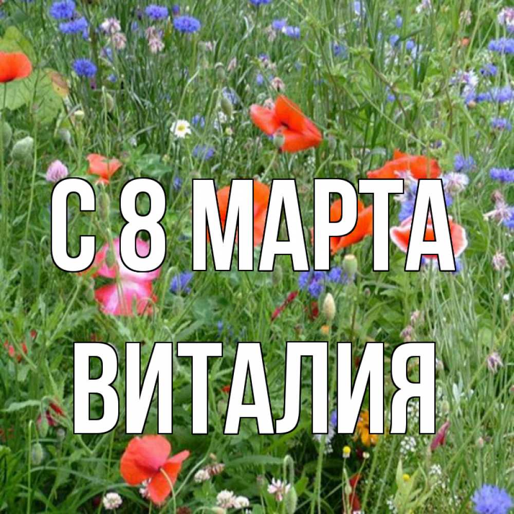 Открытка на каждый день с именем, Виталия С 8 марта международный женский день 4 Прикольная открытка с пожеланием онлайн скачать бесплатно 