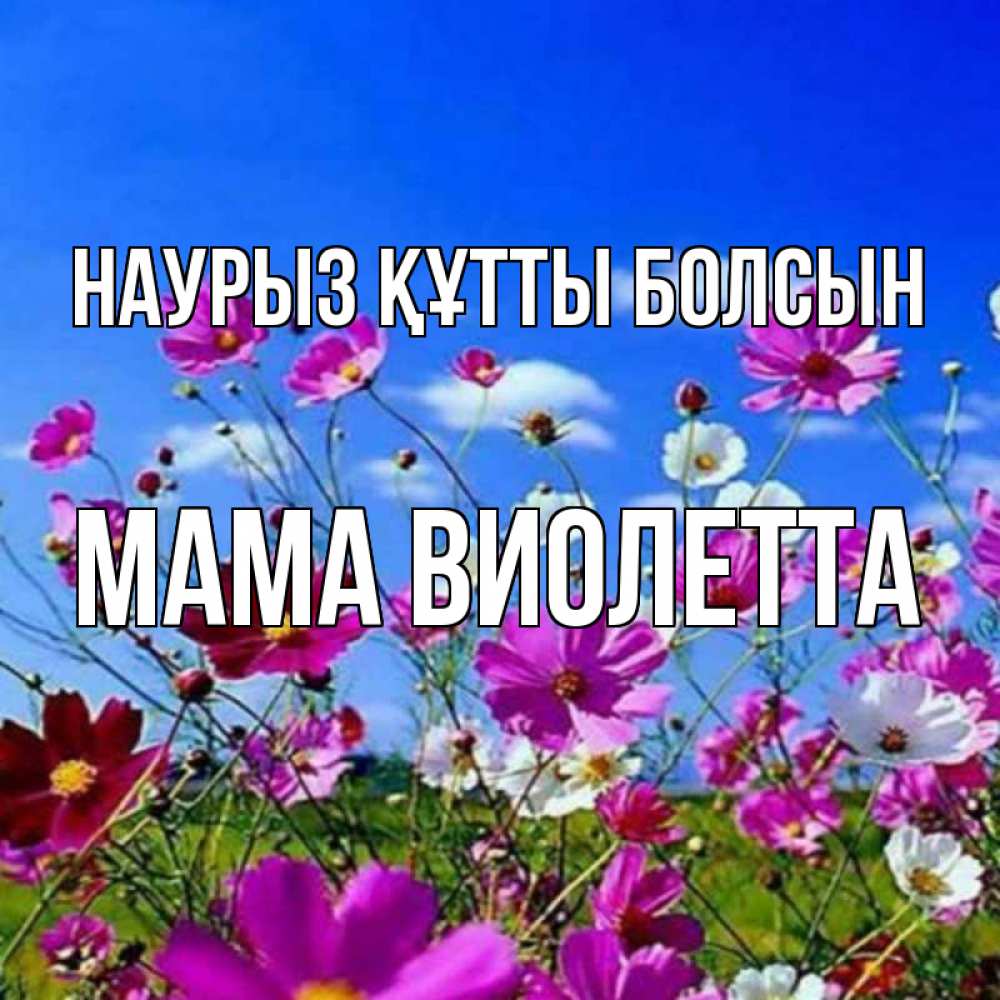 Открытка на каждый день с именем, Мама-Виолетта Наурыз құтты болсын цветы Прикольная открытка с пожеланием онлайн скачать бесплатно 