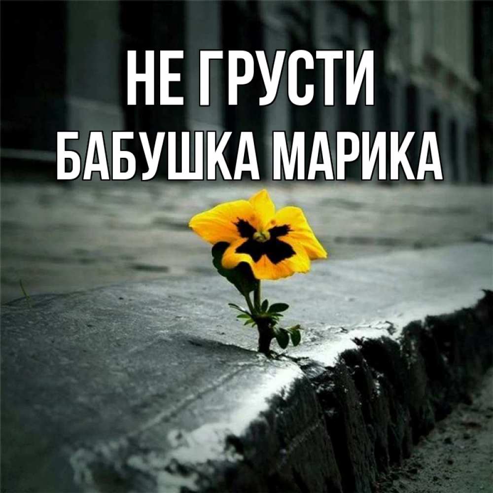 Открытка на каждый день с именем, Бабушка-Марика Не грусти не сдавайся Прикольная открытка с пожеланием онлайн скачать бесплатно 