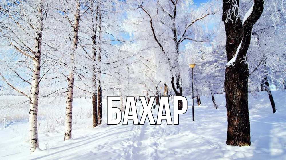 Открытка на каждый день с именем, Бахар Главная зимний лес Прикольная открытка с пожеланием онлайн скачать бесплатно 