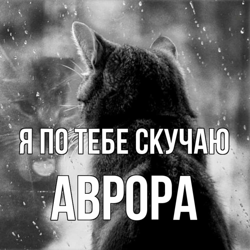Открытка на каждый день с именем, Аврора Я по тебе скучаю скорее ко мне приходи 1 Прикольная открытка с пожеланием онлайн скачать бесплатно 
