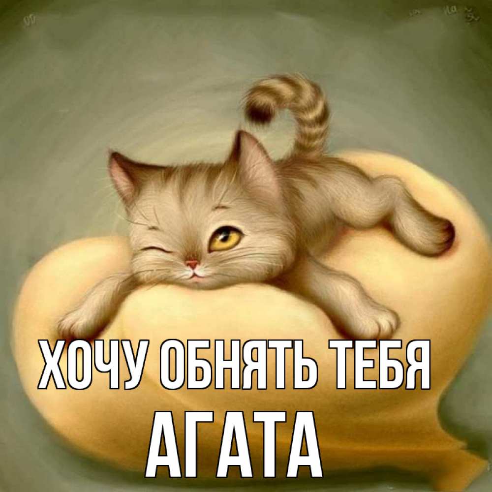 Открытка на каждый день с именем, Агата Хочу обнять тебя кошечка Прикольная открытка с пожеланием онлайн скачать бесплатно 