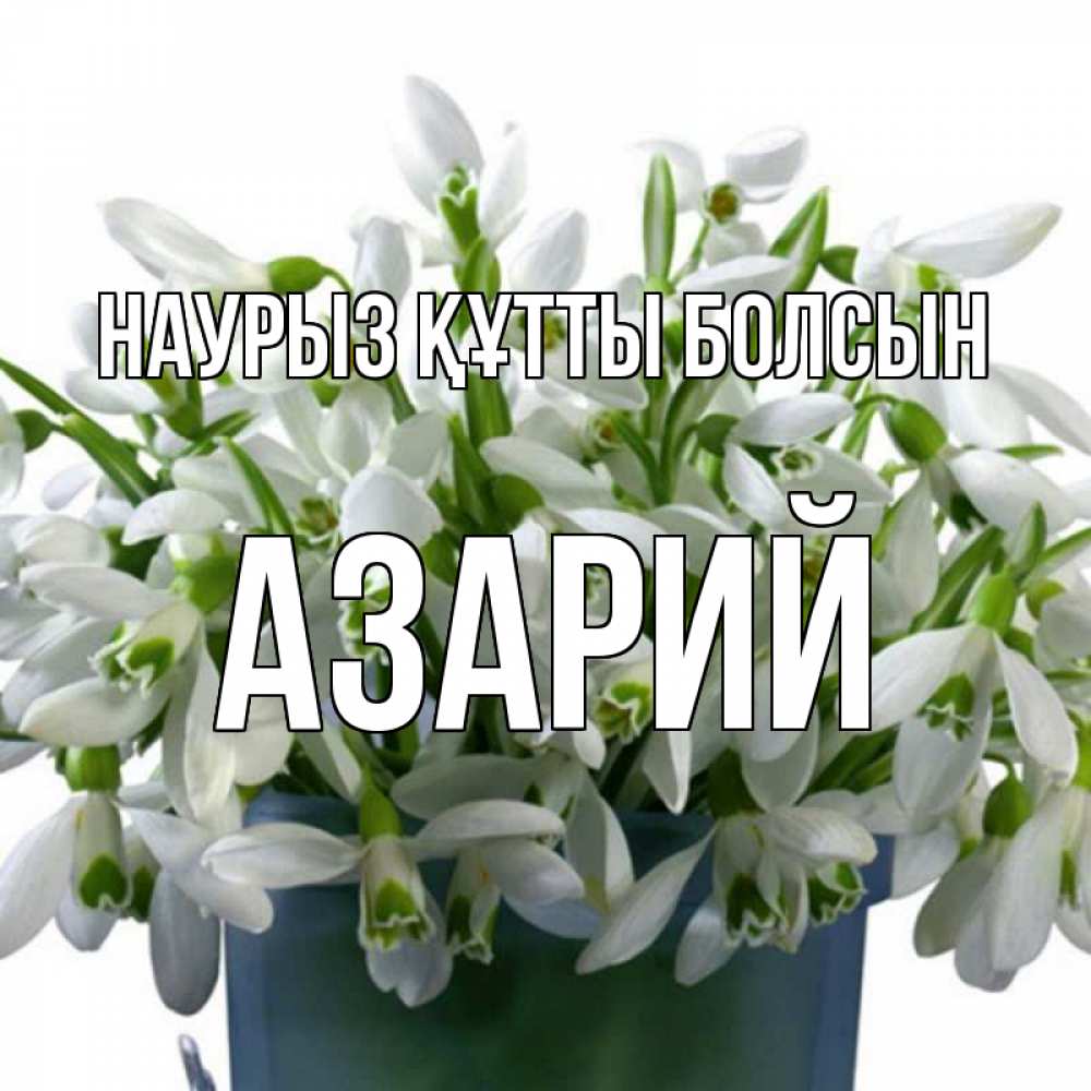 Открытка на каждый день с именем, Азарий Наурыз құтты болсын цветы к наурызу Прикольная открытка с пожеланием онлайн скачать бесплатно 