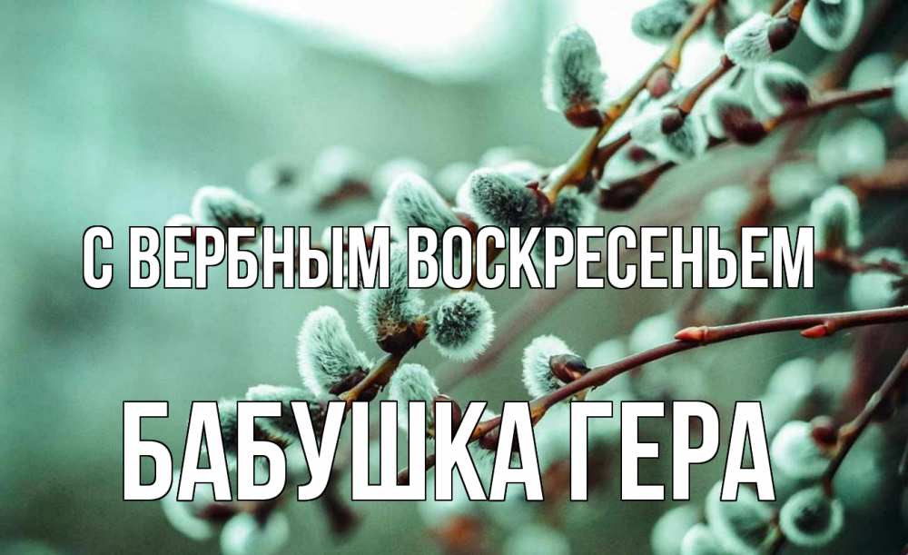 Открытка на каждый день с именем, Бабушка-Гера С вербным воскресеньем верба Прикольная открытка с пожеланием онлайн скачать бесплатно 