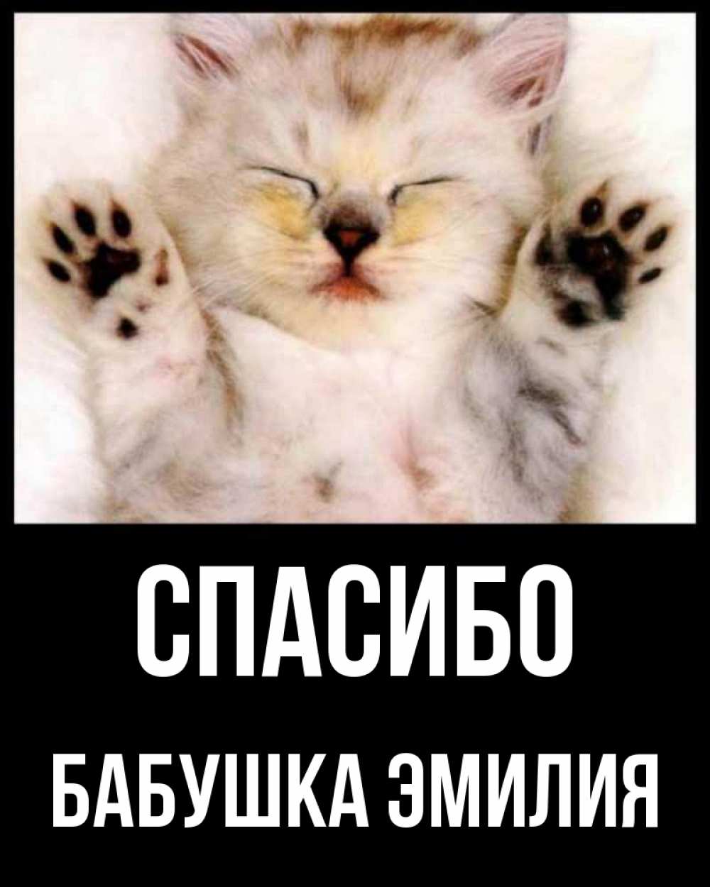 Открытка на каждый день с именем, Бабушка-Эмилия Спасибо маленький котенок Прикольная открытка с пожеланием онлайн скачать бесплатно 