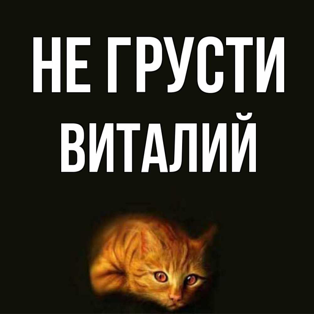 Открытка на каждый день с именем, Виталий Не грусти лежащий кот в темноте Прикольная открытка с пожеланием онлайн скачать бесплатно 