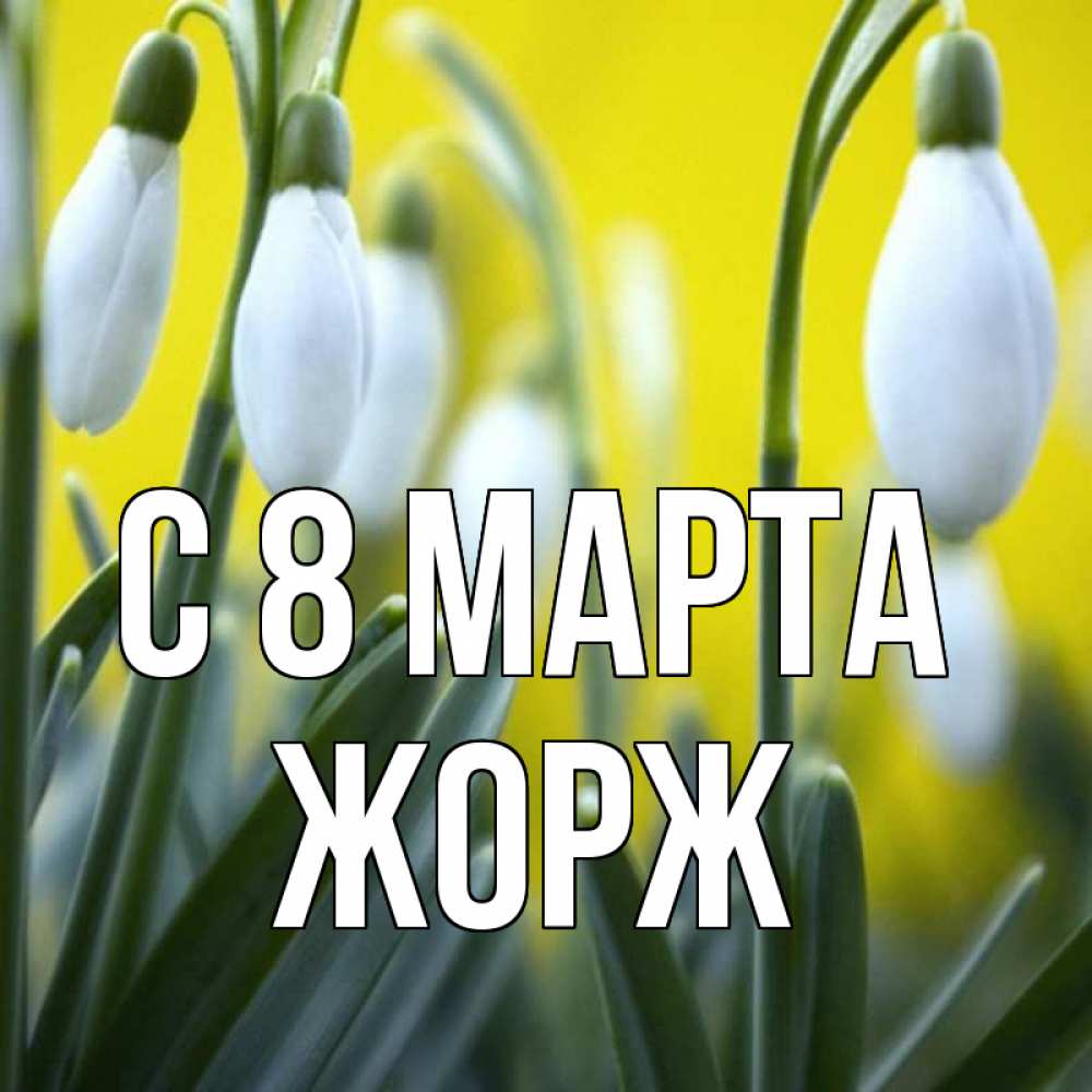Открытка на каждый день с именем, Жорж С 8 МАРТА весенние цветы Прикольная открытка с пожеланием онлайн скачать бесплатно 