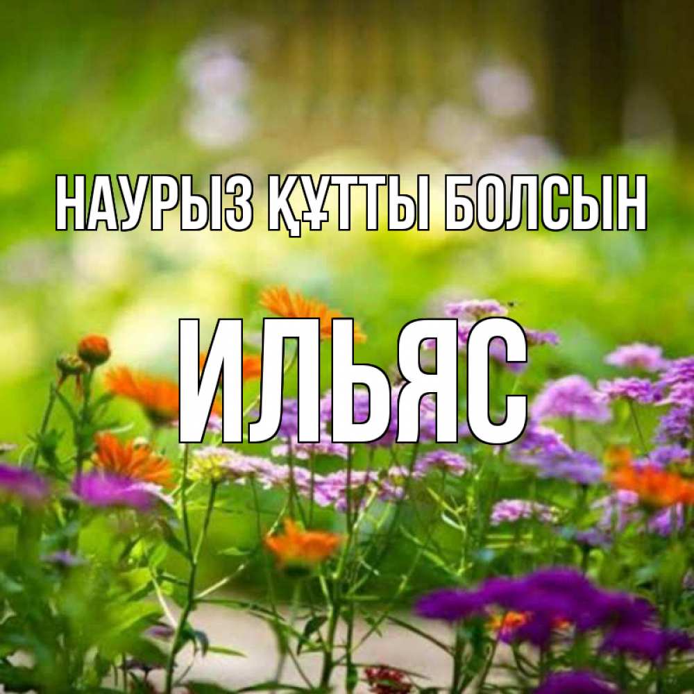 Открытка на каждый день с именем, Ильяс Наурыз құтты болсын цветы Прикольная открытка с пожеланием онлайн скачать бесплатно 