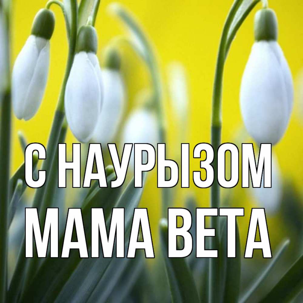 Открытка на каждый день с именем, Мама-Вета С наурызом весенние цветы Прикольная открытка с пожеланием онлайн скачать бесплатно 