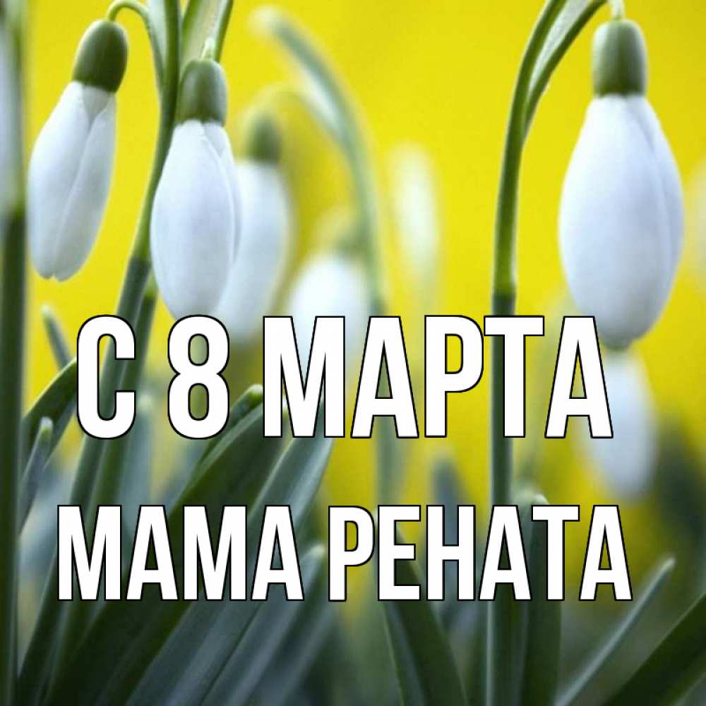 Открытка на каждый день с именем, Мама-Рената С 8 МАРТА весенние цветы Прикольная открытка с пожеланием онлайн скачать бесплатно 