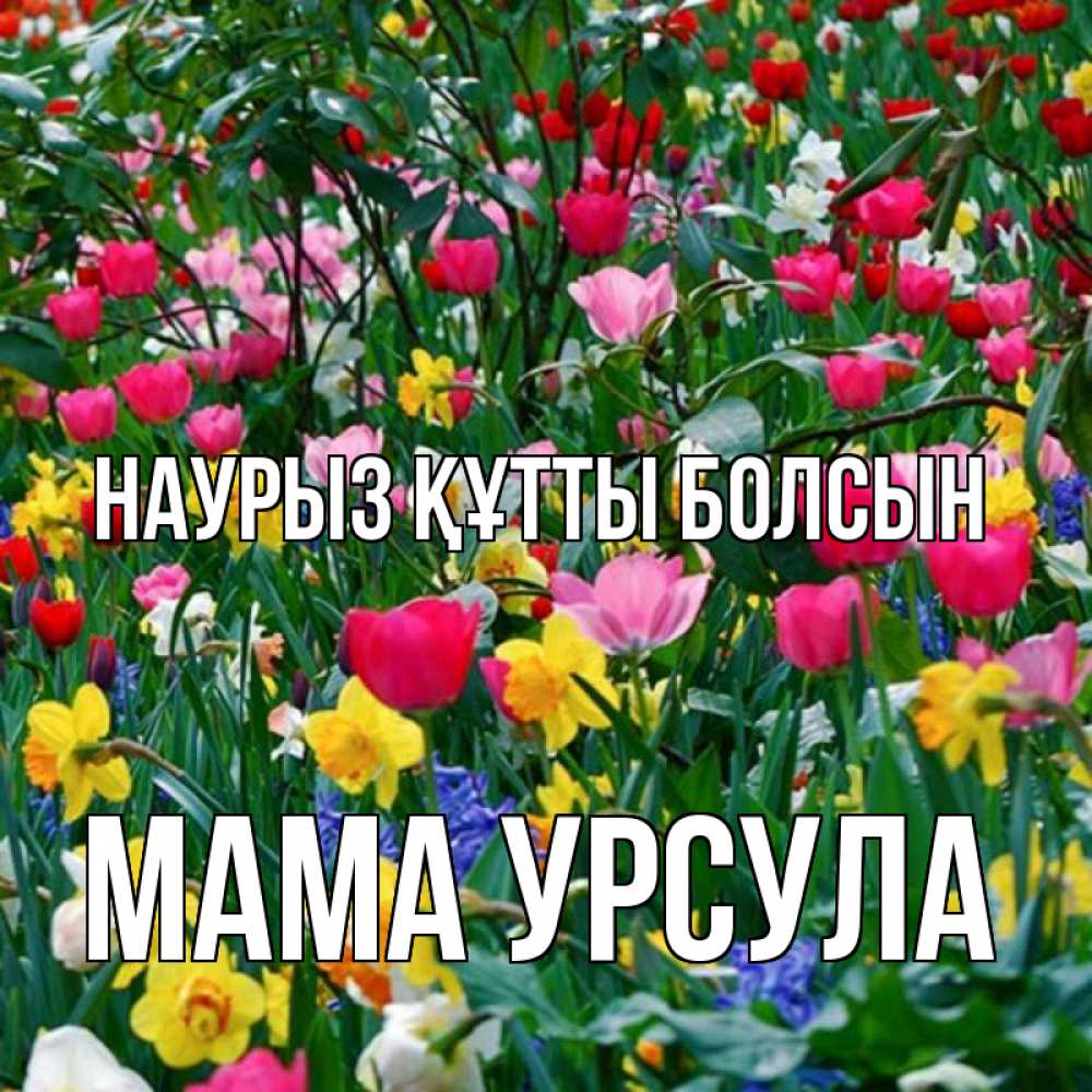 Открытка на каждый день с именем, Мама-Урсула Наурыз құтты болсын с наурызом поздравления для женщины Прикольная открытка с пожеланием онлайн скачать бесплатно 