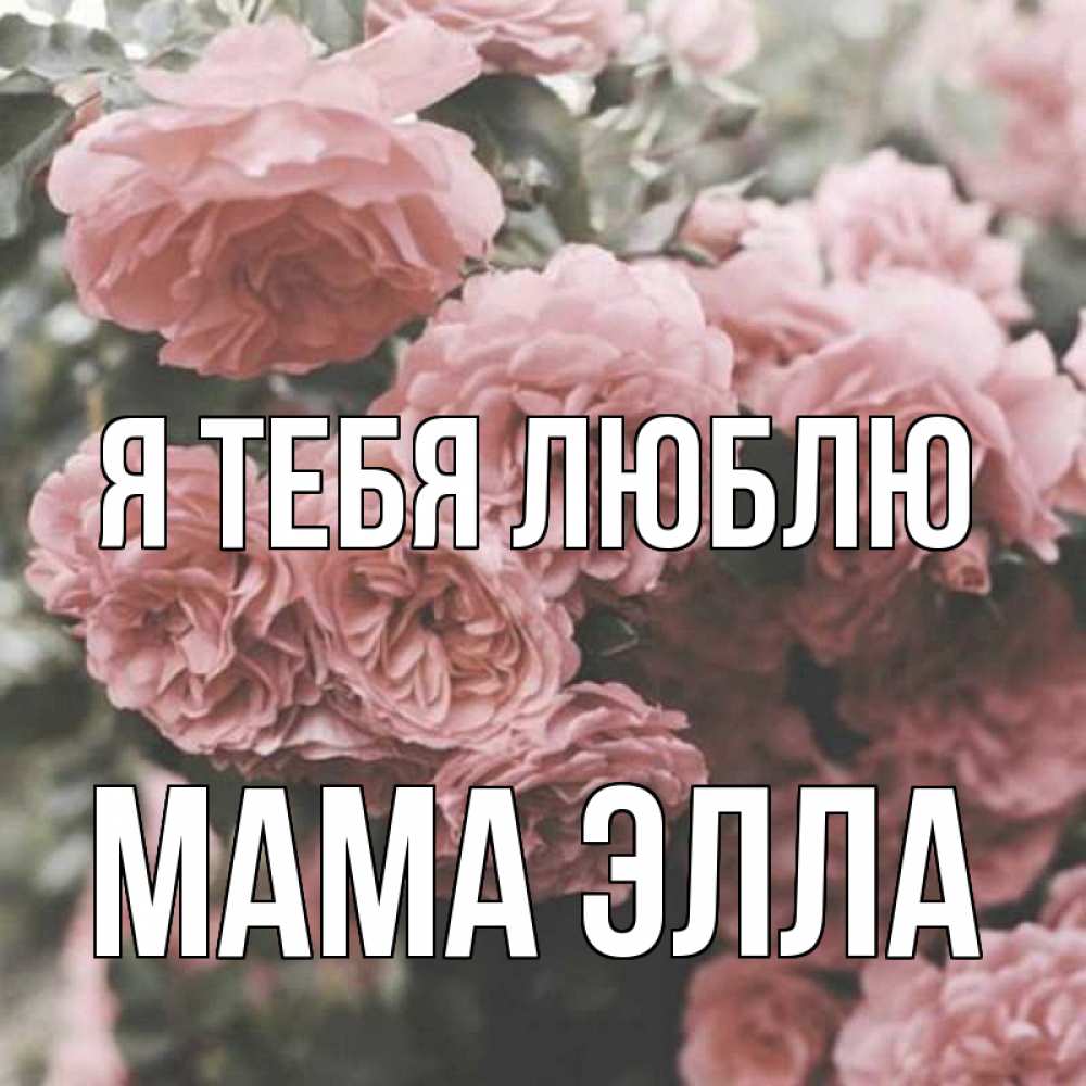 Открытка на каждый день с именем, Мама-Элла Я тебя люблю розы 3 Прикольная открытка с пожеланием онлайн скачать бесплатно 