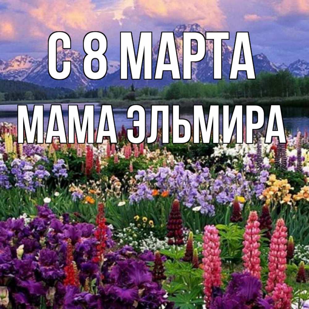 Открытка на каждый день с именем, Мама-Эльмира С 8 МАРТА международный женский день Прикольная открытка с пожеланием онлайн скачать бесплатно 