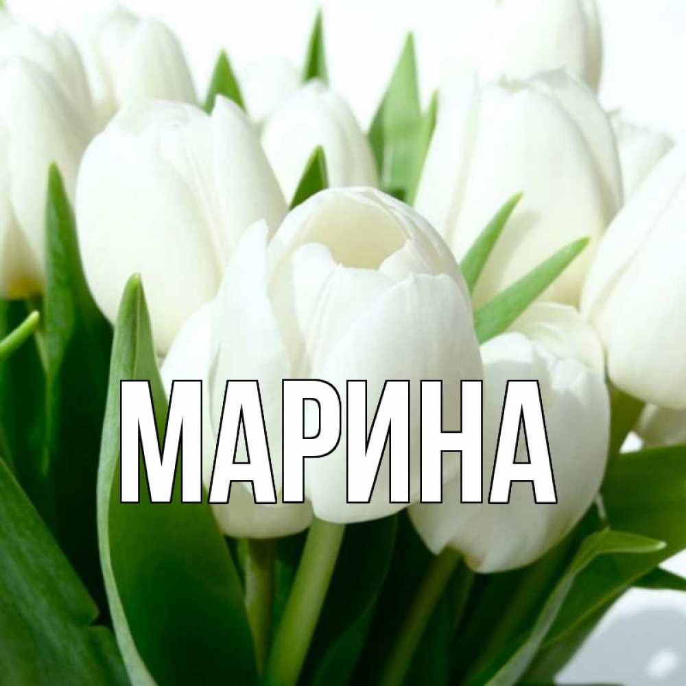 Открытка на каждый день с именем, Марина Главная открытки на каждый день по именам Прикольная открытка с пожеланием онлайн скачать бесплатно 